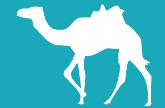 去哪儿旅行怎么订低价机票 去哪儿旅行预订低价机票方法分享