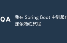 我在 Spring Boot 中驯服传递依赖的旅程