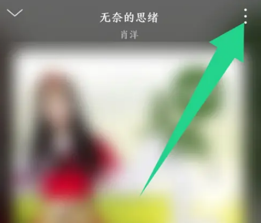 飞傲音乐怎么设置驾驶模式 飞傲音乐设置驾驶模式步骤分享