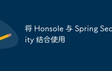 将 Honsole 与 Spring Security 结合使用