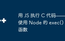 用 JS 执行 C 代码——使用 Node 的 exec() 函数