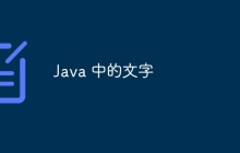 Java 中的文字