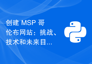 创建 MSP 哥伦布网站：挑战、技术和未来目标