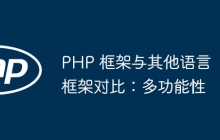 PHP 框架与其他语言框架对比：多功能性