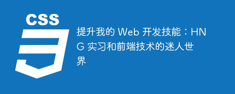 提升我的 web 开发技能：hng 实习和前端技术的迷人世界