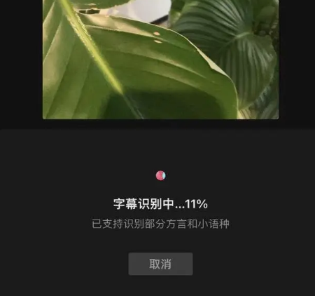 抖音怎么自动识别方言 抖音方言生成普通话字幕教程一览