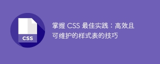 掌握 css 最佳实践:高效且可维护的样式表的技巧