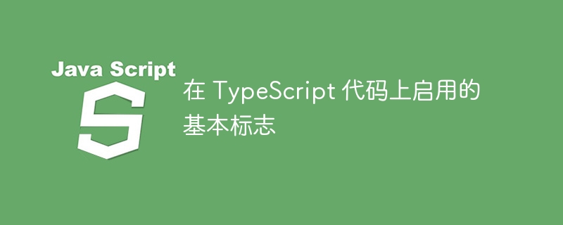 在 typescript 代码上启用的基本标志