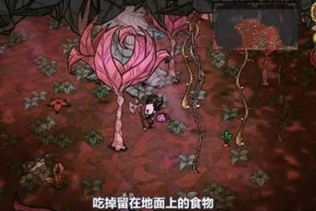 《饥荒》哈姆雷特藤蔓获取攻略