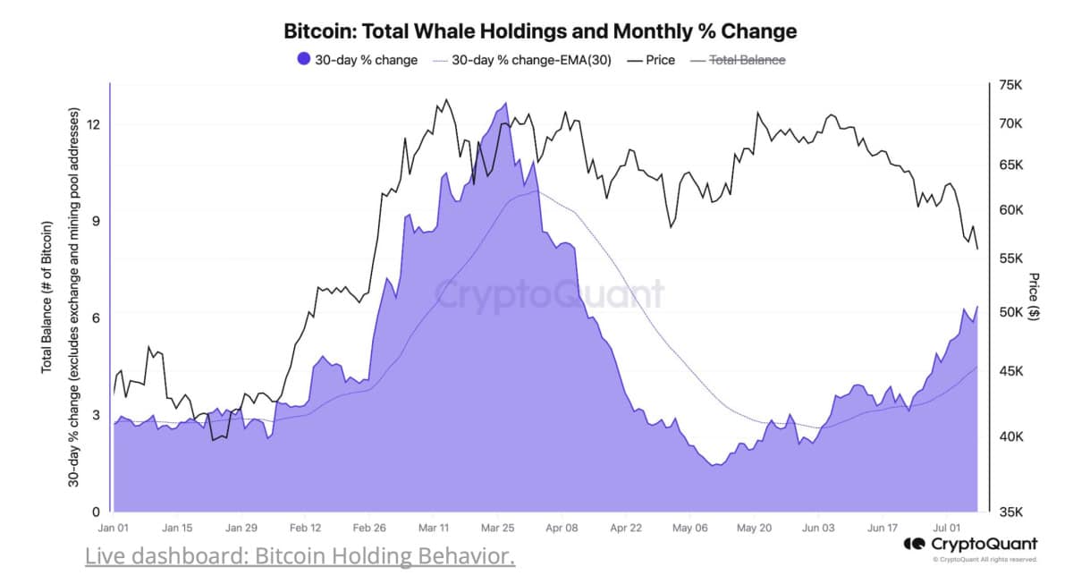 CryptoQuant:比特币目前正处于多空转折点!币价可能即将触底