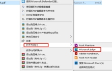 不知道如何打开PDF文件？试试这5个方法！