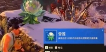 永劫无间手游雪莲位置在哪 永劫无间手游雪莲位置一览