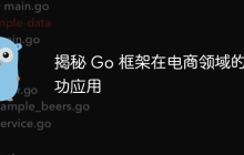 揭秘 Go 框架在电商领域的成功应用