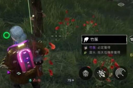 星球重启竹荪烤串怎么做
