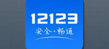 Where to check the version number of Traffic Management 12123? List of methods to check the version number of Traffic Management 12123