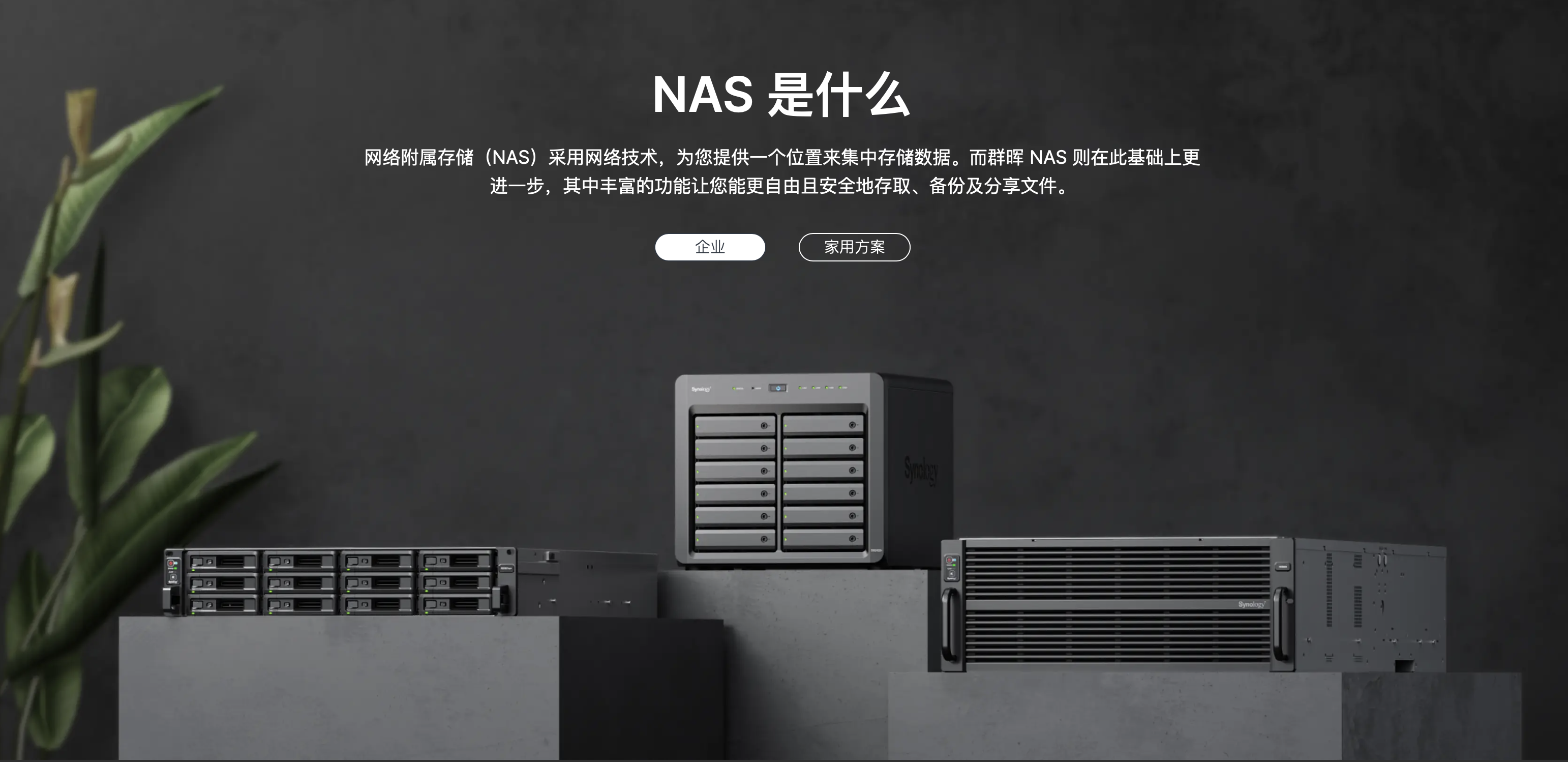 推动NAS普及的「新势力」们,构建了NAS行业的未来