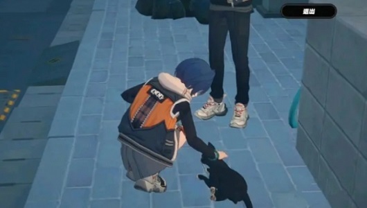 绝区零把小猫带回家任务攻略