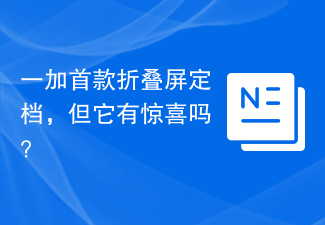 一加首款折叠屏定档,但它有惊喜吗?