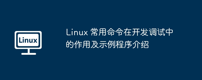 linux 常用命令在开发调试中的作用及示例程序介绍