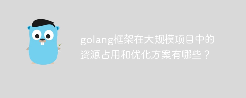 golang框架在大规模项目中的资源占用和优化方案有哪些？