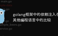 golang框架中的依赖注入与其他编程语言中的比较
