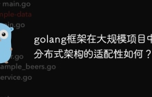 golang框架在大规模项目中与分布式架构的适配性如何？