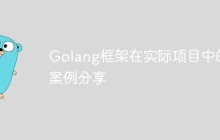 Golang框架在实际项目中的案例分享