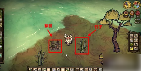 饥荒海滩怎么把帆装船上 饥荒海难草帆怎么用 饥荒海难草帆怎么装
