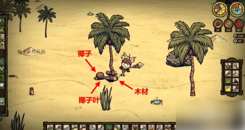 饥荒海滩怎么把帆装船上 饥荒海难草帆怎么用 饥荒海难草帆怎么装
