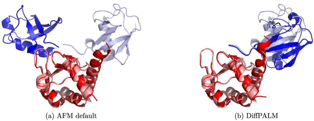 Avec une précision comparable à celle d’AlphaFold, la méthode d’IA de l’EPFL associe les interactions protéiques à partir de séquences