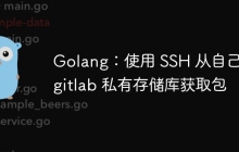 Golang：使用 SSH 从自己的 gitlab 私有存储库获取包