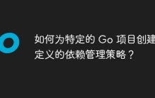 如何为特定的 Go 项目创建自定义的依赖管理策略?
