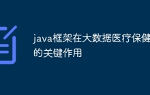 java框架在大数据医疗保健中的关键作用
