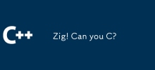 Zig! Can you C?