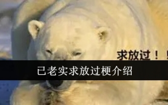 私は正直にミームの紹介をやめてほしいとお願いしました。
