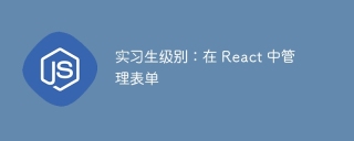 实习生级别：在 React 中管理表单
