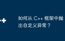 如何从 C++ 框架中抛出自定义异常？