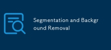 Segmentation and Background Removal