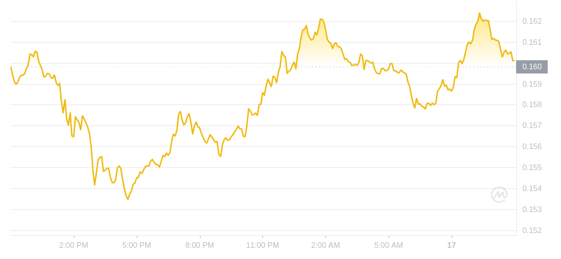2024年07月17日ALGO币价格