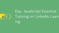 LinkedIn 学习上的日 JavaScript 基本培训