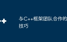 与C++框架团队合作的技巧
