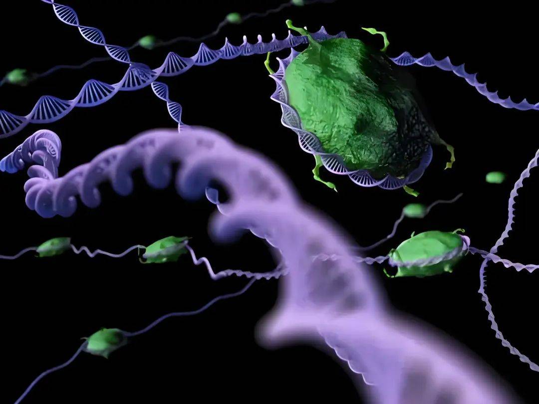 SOTA Performance, eine multimodale KI-Methode zur Vorhersage der Protein-Ligand-Affinität in Xiamen, kombiniert erstmals molekulare Oberflächeninformationen