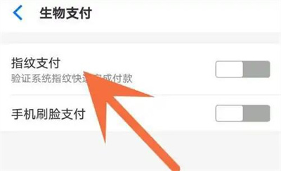 淘特开通指纹支付的方法步骤 淘特怎么开通指纹支付