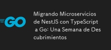 Migrando Microservicios de NestJS con TypeScript a Go: Una Semana de Descubrimientos