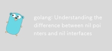 golang: Understanding the difference between nil pointers and nil interfaces