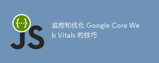 监控和优化 Google Core Web Vitals 的技巧