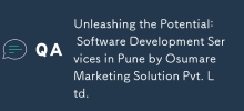 Unleashing the Potential: Software Development Services in Pune by Osumare Marketing Solution Pvt. Ltd.