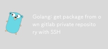 Golang: dapatkan pakej dari repositori peribadi gitlab sendiri dengan SSH