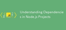 Understanding Dependencies in Node.js Projects