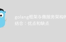 golang框架与微服务架构的结合:优点和缺点